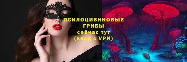 дмт Вязьма